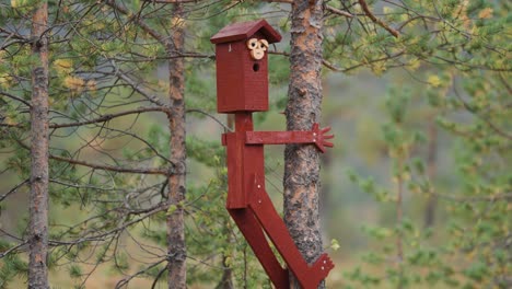 a funny creatively designed birdhouse on the pine tree in the norwegian forest