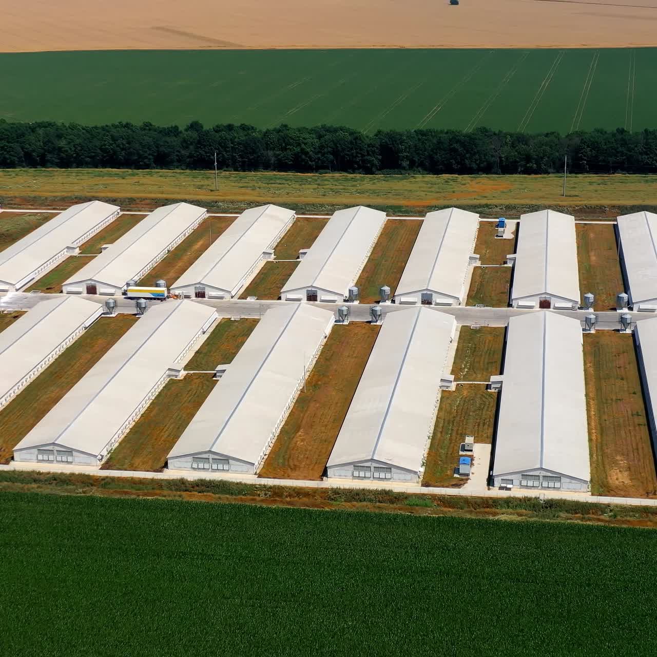 Drone view of poultry farms. Aerial view of modern poultry facility in rural area
