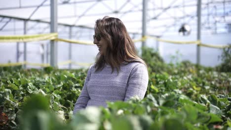 glückliche südasiatische frau auf einer obstfarm im grünhaus