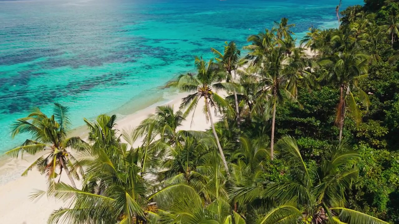 Pengambilan gambar udara pembuka Pantai Puka Boracay dengan pohon palem dan air biru kehijauan yang jernih.