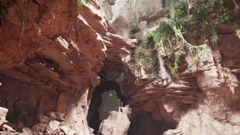 una cueva de piedra caliza con plantas y sol dentro