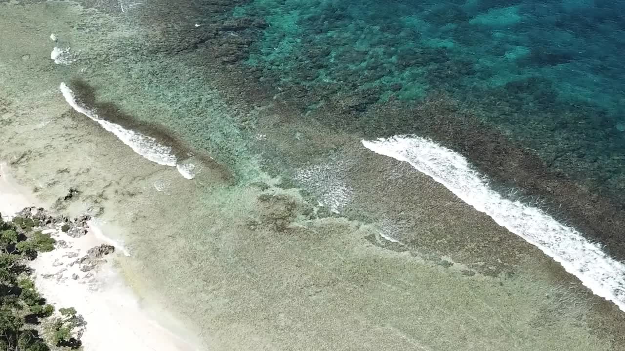vista de pájaro de las olas poco profundas que se estrellan en la costa rocosa con muchos árboles verdes en la arena blanca