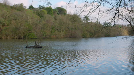 Quietness-Of-A-Pond-Near-Forest-Mountains-During-Summer