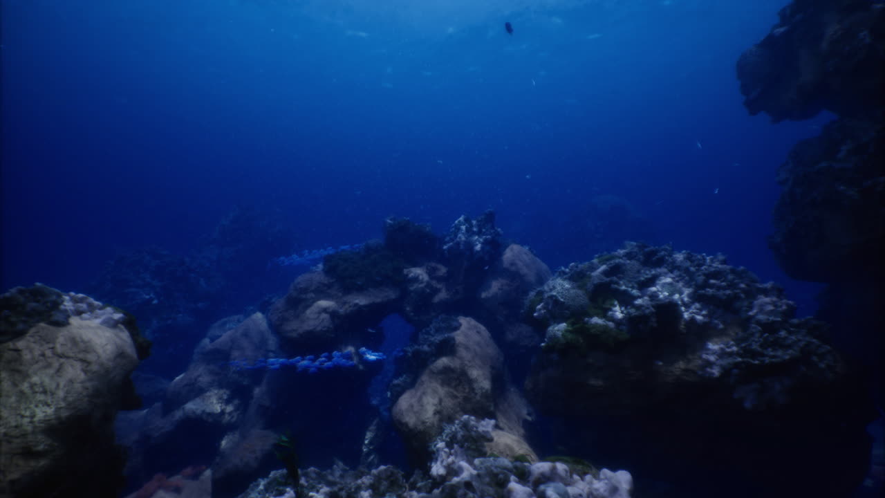 산호 와 해양 생명체 들 이 있는 조용 한 수중 풍경