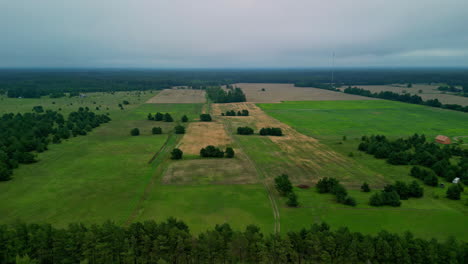 agriculture fields and forest of latvia landscape, aerial drone view