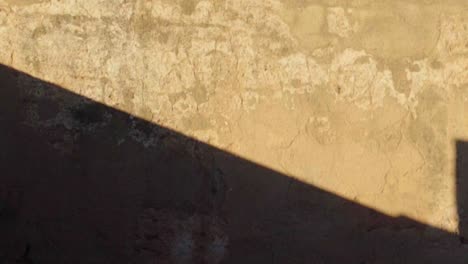 shadow of tourists peoples walking, view on an orange ancien wall