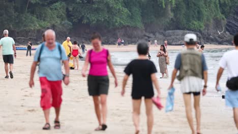 group walking along a scenic beach