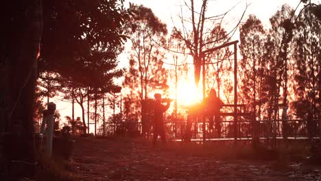 silhouette of people resting in park during golden and red colored sunset at horizon