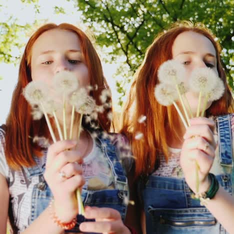 two red-haired twin sisters are playing with dandelion flowers