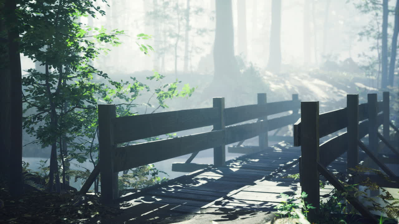 Misty forest setting with a wooden bridge over a tranquil stream