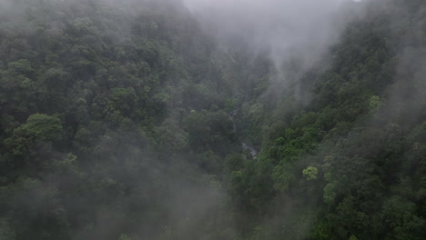 aerial views over the thick jungle with early morning mist on the island of lombok, indonesia