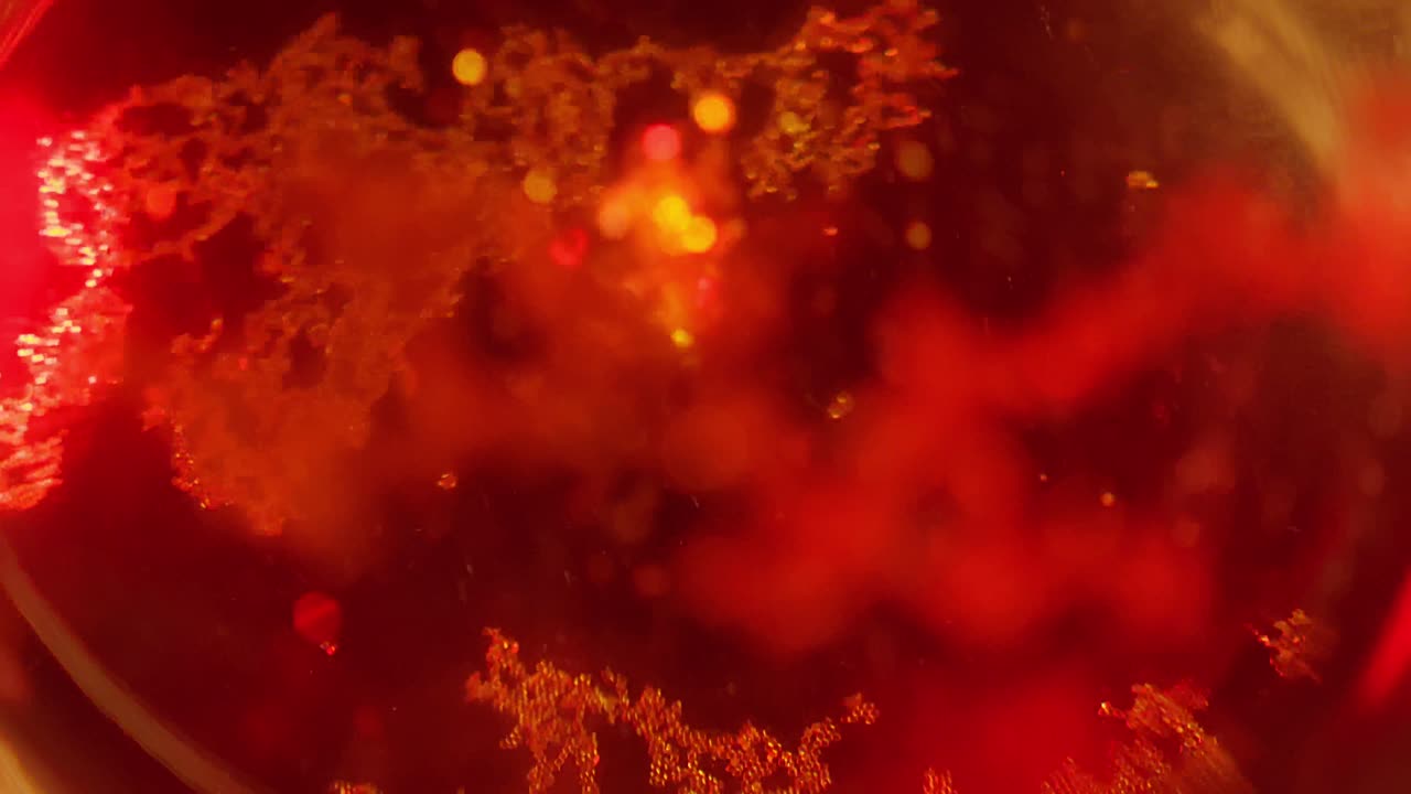 알 수 없는 외래 입자, 은 액체 용액, 투명한 용기