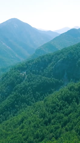 mountainous forest landscape