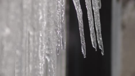 Eiszapfen-Schmelzen-Und-Schnell-Tropfendes-Wasser---Nahaufnahme