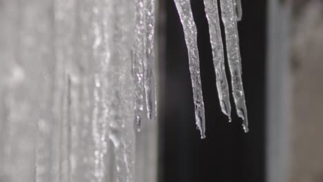 icicles melting and rapidly dripping water - closeup shot
