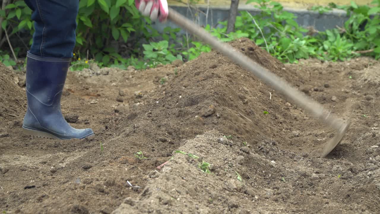 agricultor preparando filas de parcelas de suelo para el cultivo de plantas