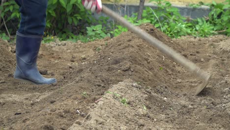 farmer preparing soil plots rows for plants cultivation