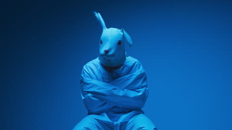 person in a rabbit mask and restraints