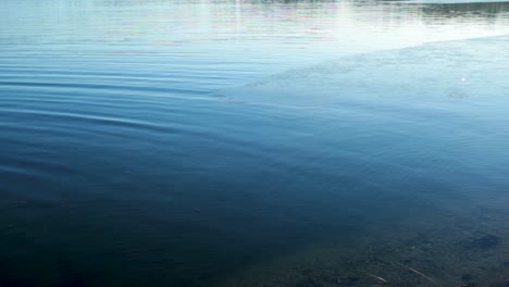 Agua-Ondulante-Del-Lago-De-Montaña-Durante-El-Verano-En-Pilchowice,-Polonia