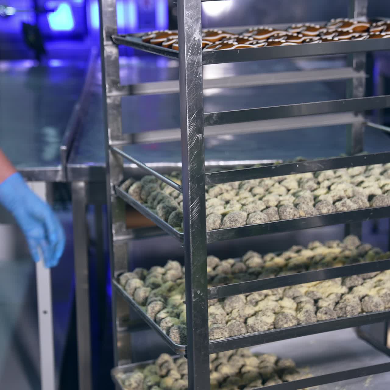 Cookies on Baking Trays