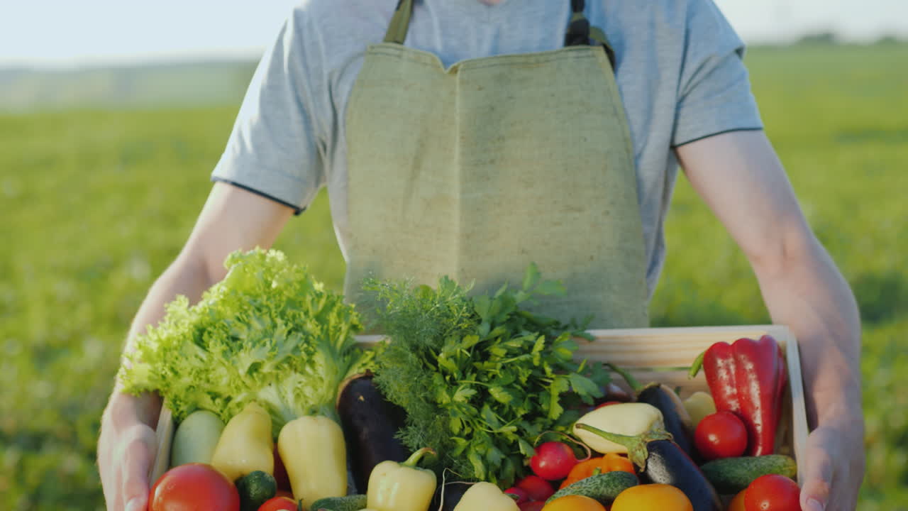 농부는 다양한 야채 유기농과 농산물 세트가 있는 나무 상자를 들고 있습니다.