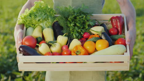 The-Farmer-Is-Holding-A-Wooden-Box-With-A-Set-Of-Various-Vegetables-Organic-Farming-And-Farm-Product