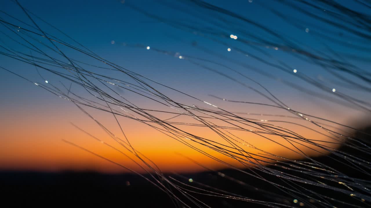 A Beautiful Twilight Scene Featuring Delicate Strands Reflecting Light Against a Colorful Sky Transitioning from Sunset to Evening