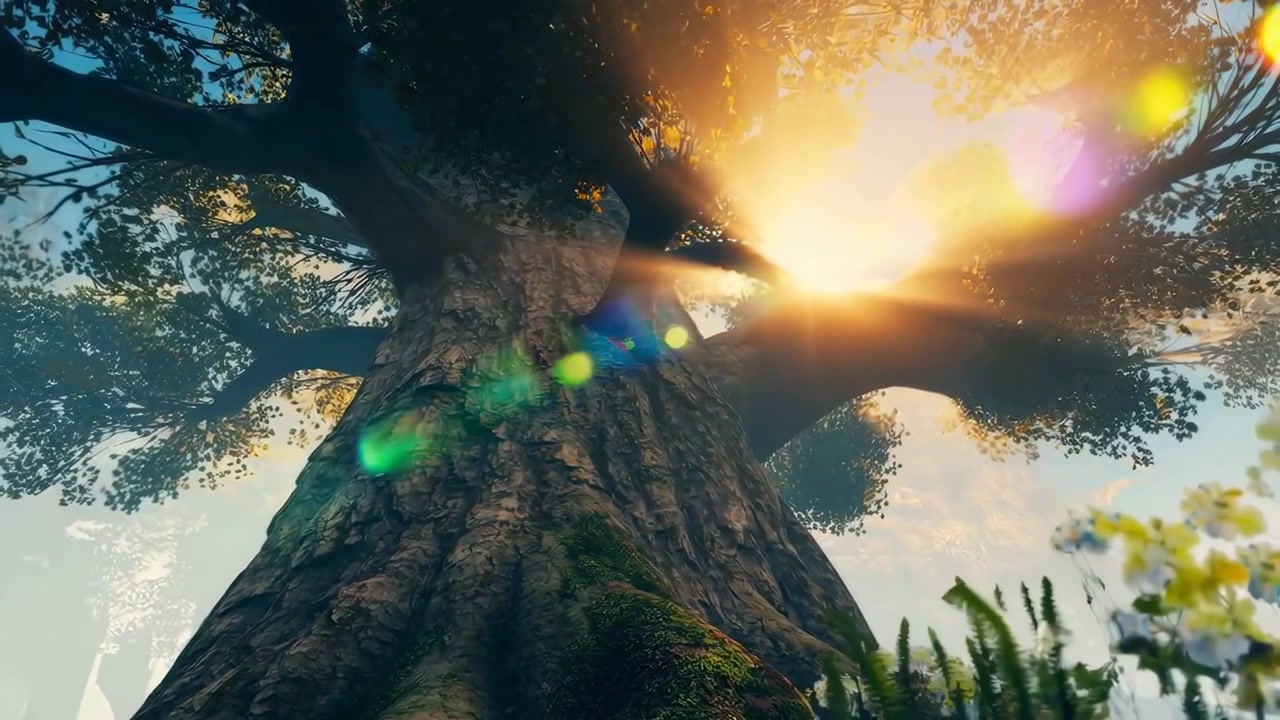 Maestoso albero antico con luce solare dorata e bagliore dell'obiettivo