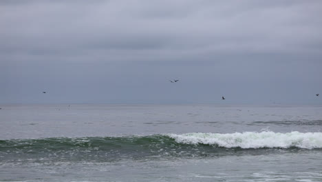 Seagulls-flying-above-the-waves-on-an-overcast-day-at-Point-Dume-State-nature-preserve-beach-park-in-Malibu,-California
