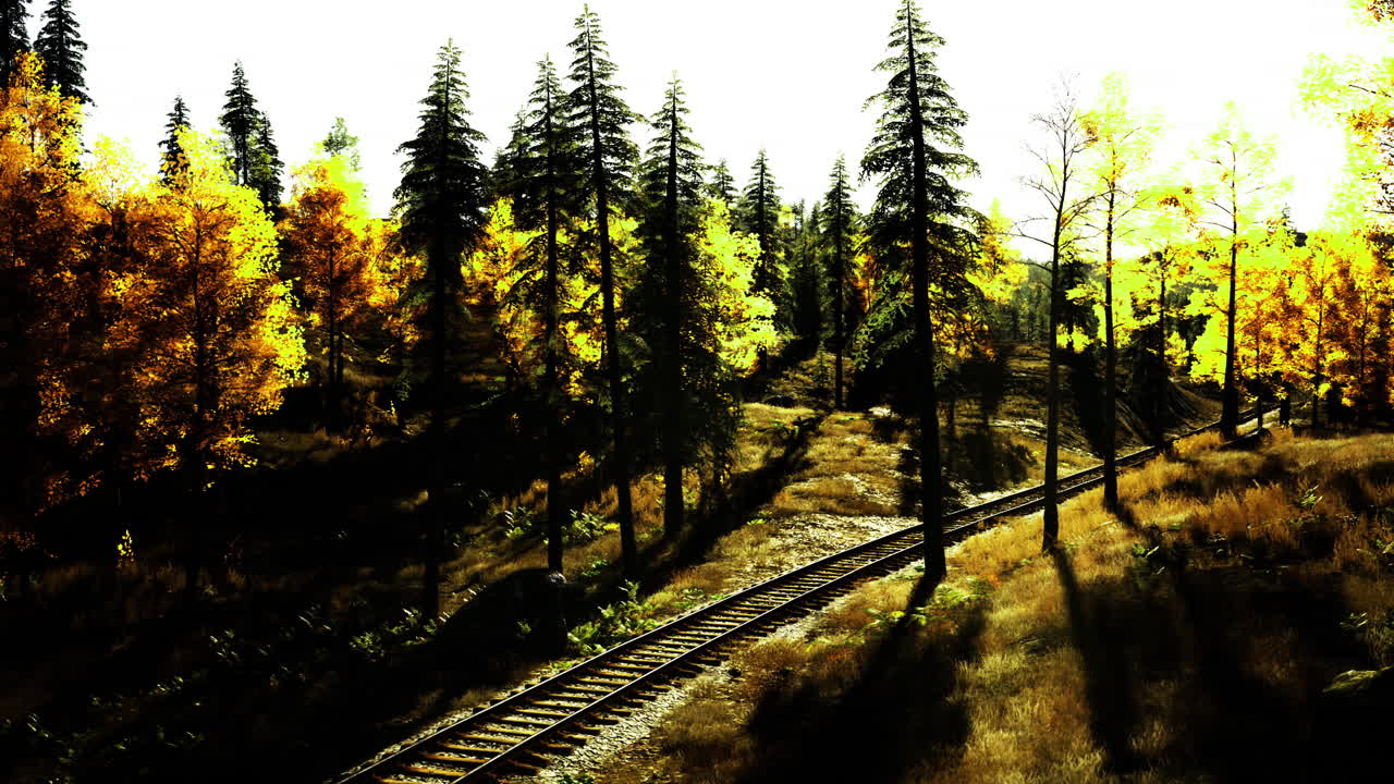 Autumn landscape with railway tracks winding through vibrant forest