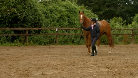 vrouw leidt haar paard in de paddock.