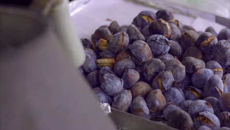 asar castañas frescas en la calle portugal