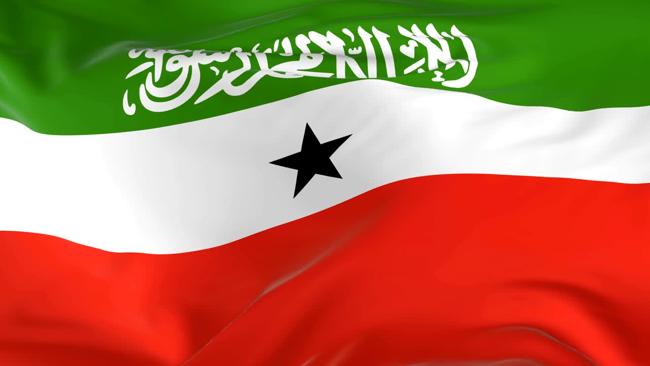 waving  looped flag as  background Somaliland