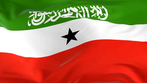 waving  looped flag as  background somaliland