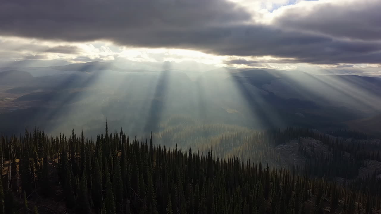 Dramatic Sunbeams Piercing Clouds Over a Mountain Forest