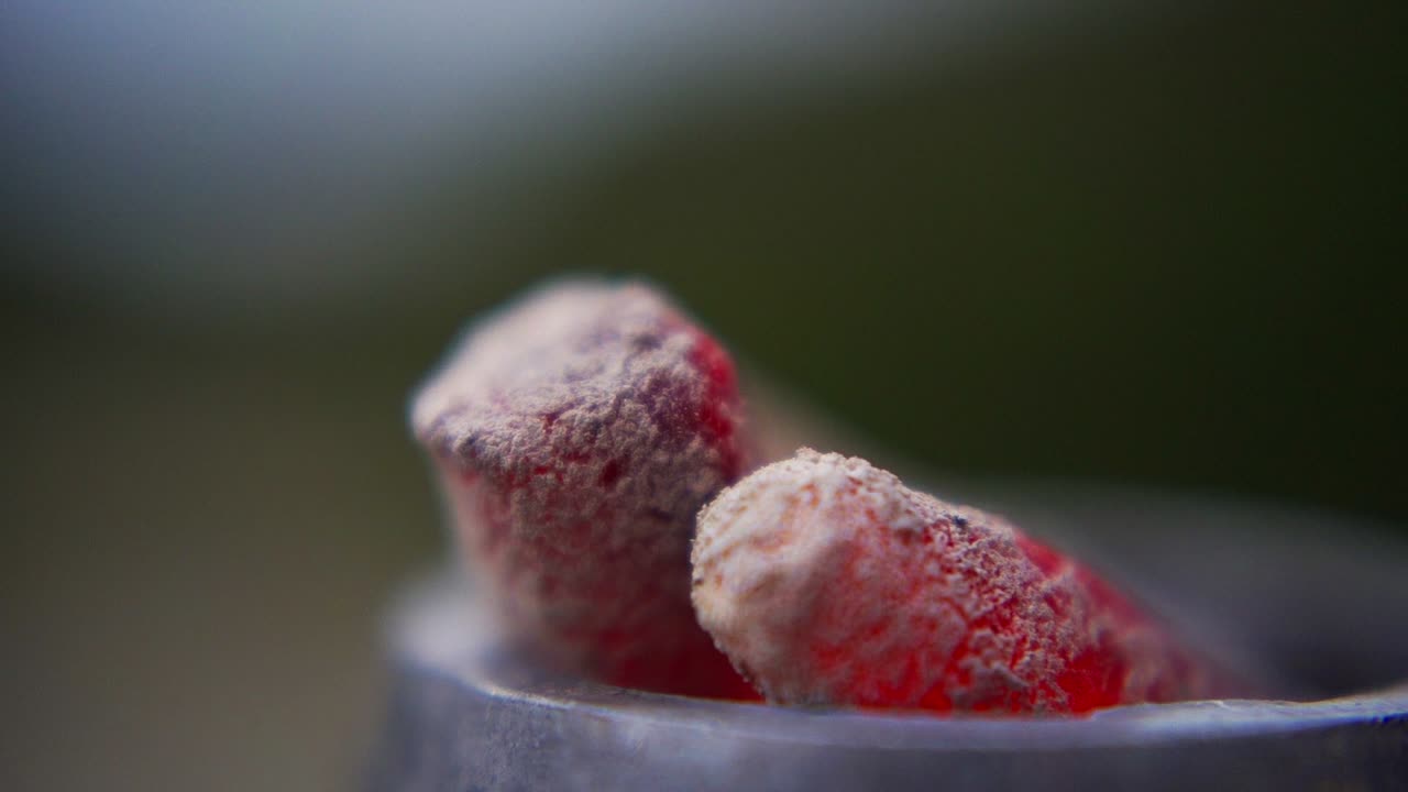 Two hot shisha charcoals glow red, covered in ashes, burning inside a metal narguile container