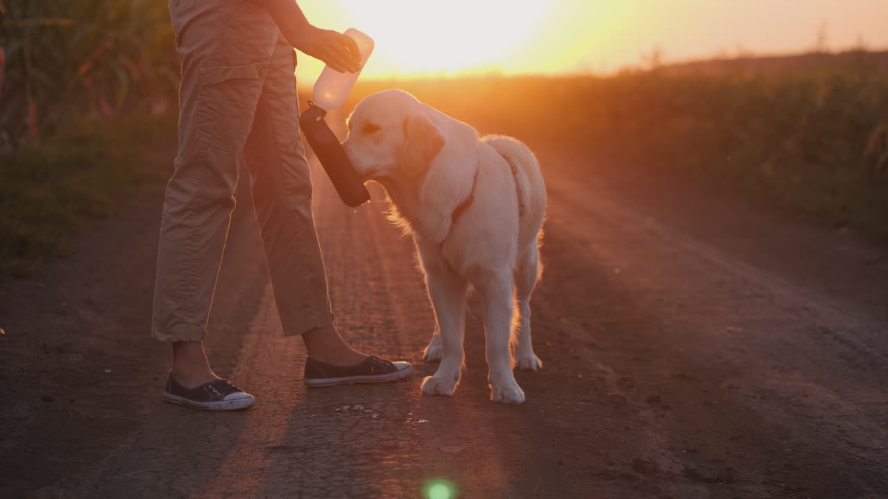 mujer dando agua a su perro al atardecer