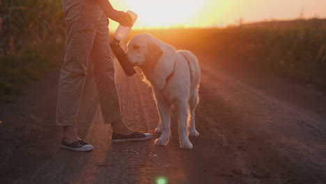 mujer dando agua a su perro al atardecer