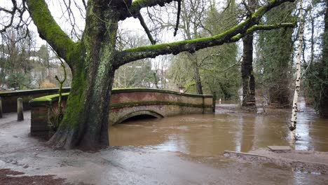 River-Bollin-in-Wilmslow,-Cheshire,-England,-UK-after-heavy-rainfall-and-bursting-its-banks-