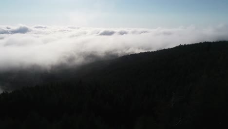 A-drone-shot-above-low-lying-clouds,-over-the-trees-of-Redwood-National-Forest-in-Northern-California,-USA