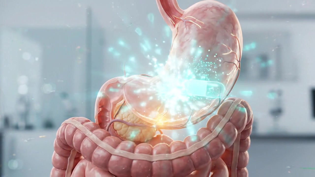 Holographic stomach and intestines floating inside bright modern clinical laboratory