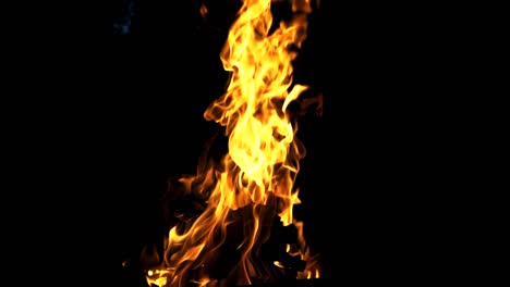 slow motion of fire at bonfire in the dark, closeup