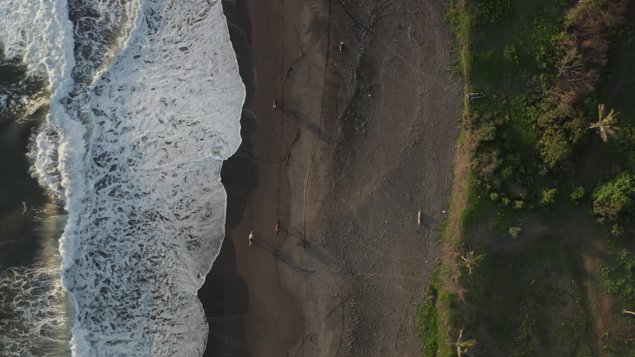 Cavalli galoppano su una bellissima spiaggia - Aerea