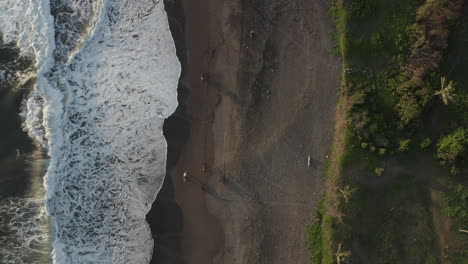 Horses-Gallop-across-beautiful-beach---Aerial