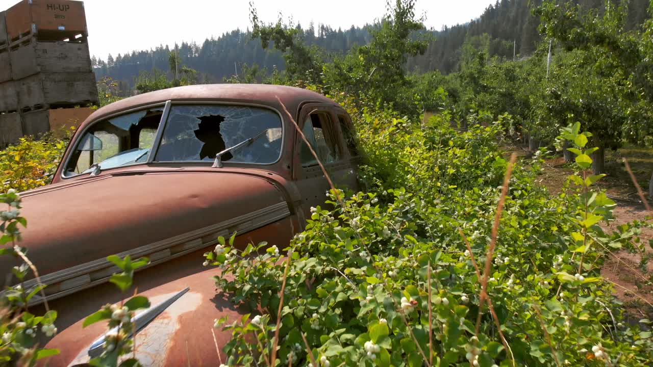 部分的に植物に覆われた錆びた廃車がワシントン州の梨園の風景の中にあり、近くには木箱や森林に覆われた丘が見える。