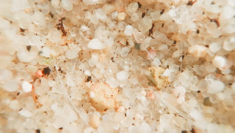 Underwater-soil-covered-with-white-and-beige-stones