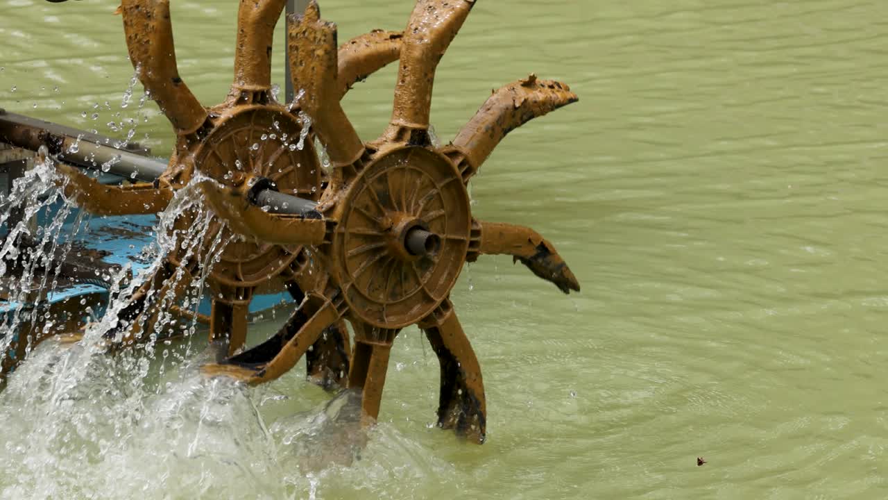 A solar-powered water wheel aerator rotates, splashing water in a pond, showcasing sustainable energy use
