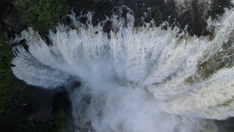 Eyipantla-Fällt-In-Los-Tuxtlas-Veracruz-In-Mexiko