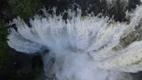 cataratas de eyipantla en los tuxtlas veracruz en mexico