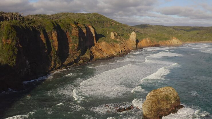 una spiaggia drone, la natura e la foresta volare